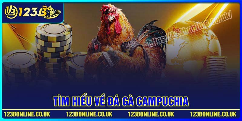 Tìm hiểu chi tiết về Đá gà Campuchia