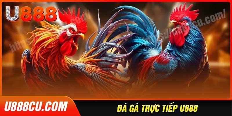 da-ga-u888-noi-san-thuong-nhung-chien-ke-hang-dau