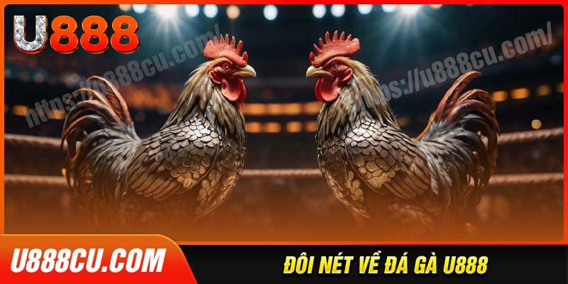 Tìm hiểu tổng quan về đá gà U888